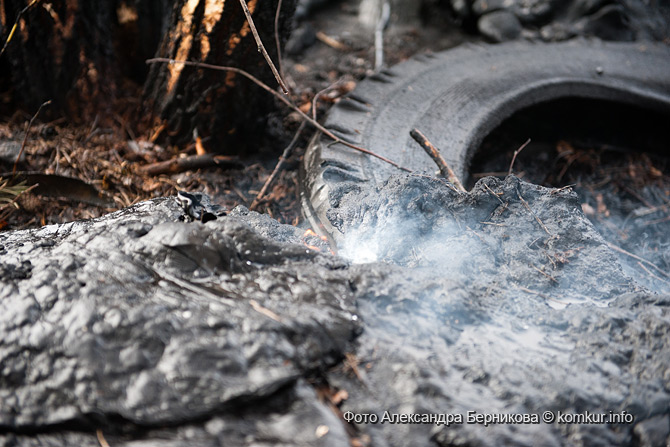 Пожар в Бабино 2015