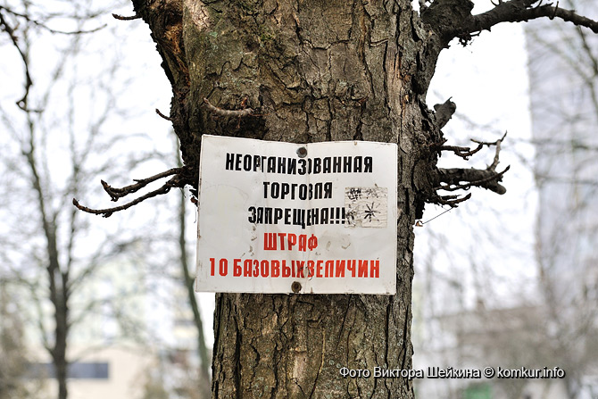 Бобруйские микрорынки в ожидании обновления