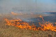 Огненный фронт на окраине Сычково