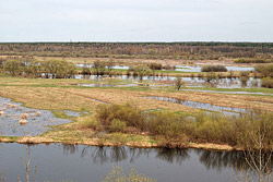 Уровень воды в Березине снизился до 70 сантиметров