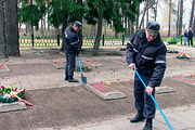  Военнослужащие в Бобруйске высадили сотню деревьев