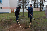 В Бобруйске посадили яблони в честь юбилея Победы 