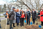 В Бобруйске посадили яблони в честь юбилея Победы 