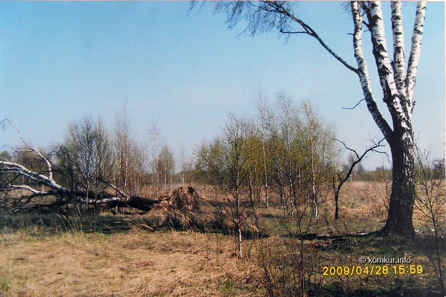 Воспоминания бобруйчанки о чернобыльской трагедии