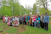 70 деревьев и кустарников высадили в бобруйском парке