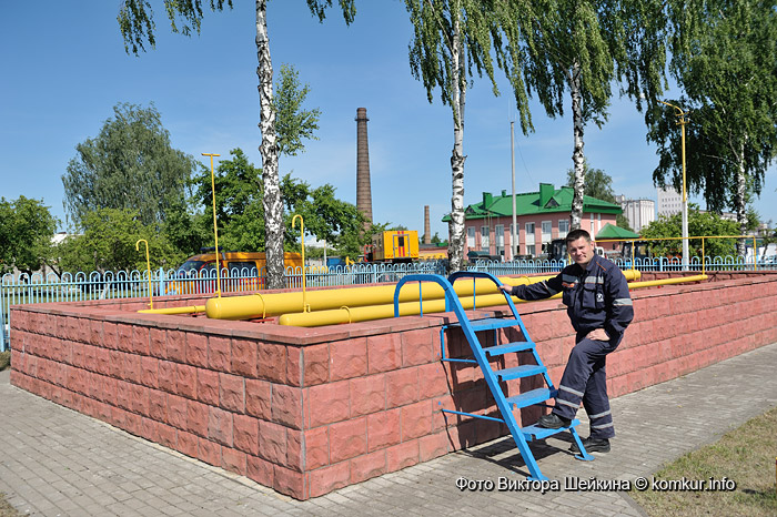 Служба 104 в Бобруйске: борьба с голубой угрозой