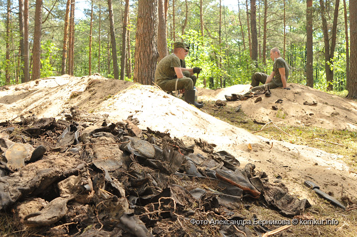 Тайны леса под Крапивкой. В лесу под Бобруйском найдено массовое захоронение людей времен Великой Отечественной войны