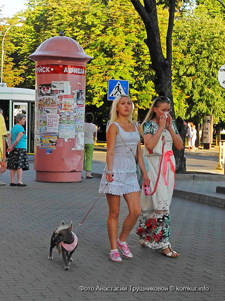 Бобруйск отпраздновал День Независимости