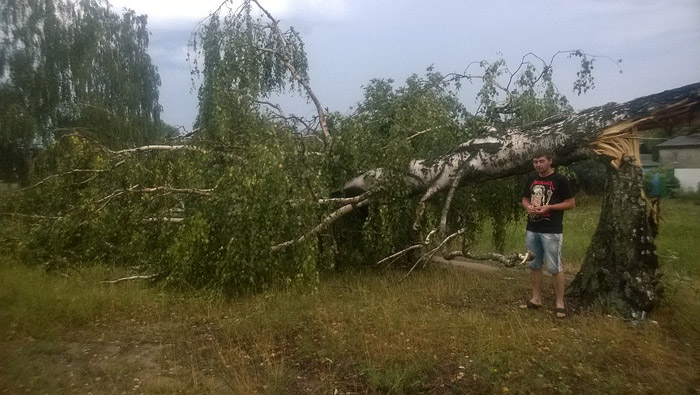 Ураган в Бобруйске – такого не было десять лет! (обновляется)