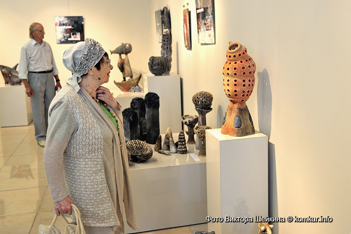 Открылась выставка «Арт-Жыжаля»