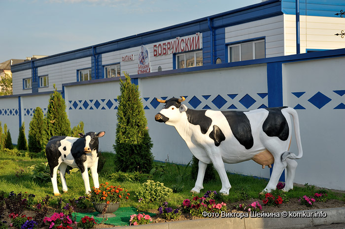 Молоко для бобра и бобруйчан