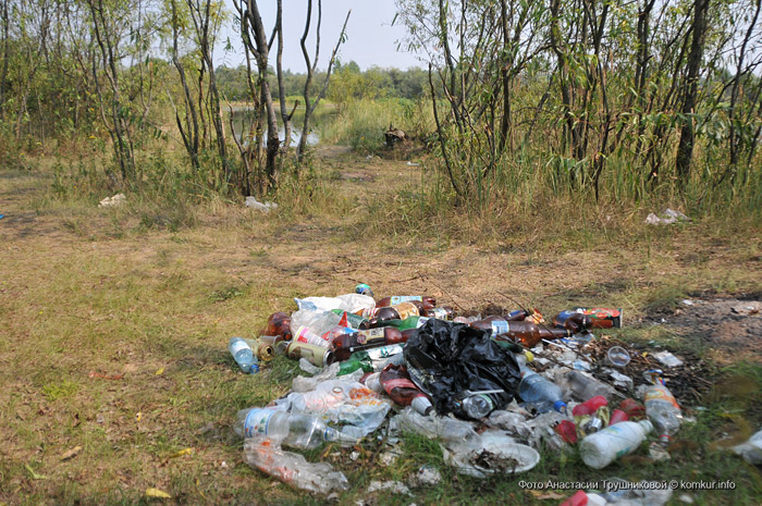 Как бороться с мусором на берегах Березины? 