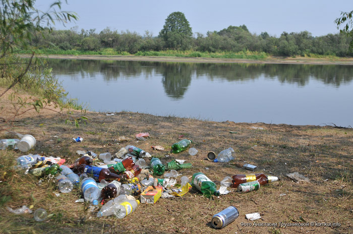 Как бороться с мусором на берегах Березины? 