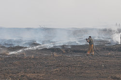 За сутки площадь пожара под Бобруйском уменьшилась еще на один гектар 