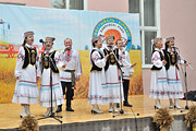 В Бобруйском районе отпраздновали «ДАЖЫНКI-2015»