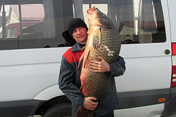 Рыбак из Кобрина завалил 30-килограммового сазана!