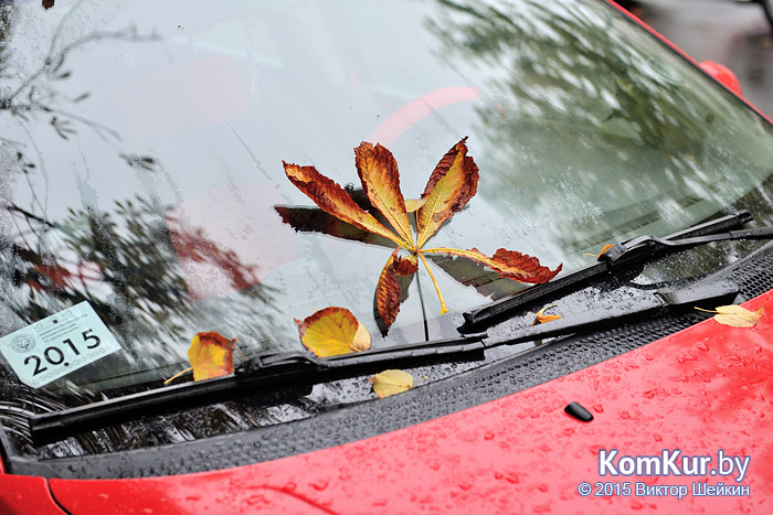 Бобруйск - «Осенние зарисовки»