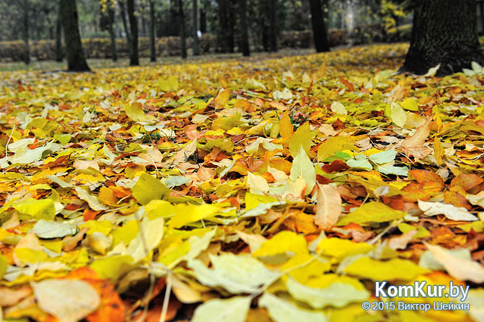 Бобруйск - «Осенние зарисовки»