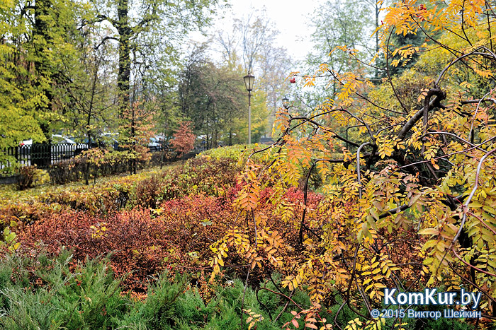 Бобруйск - «Осенние зарисовки»