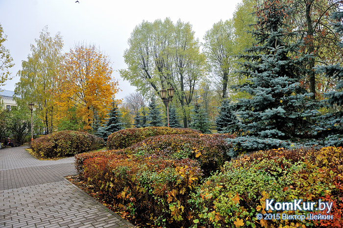 Бобруйск - «Осенние зарисовки»