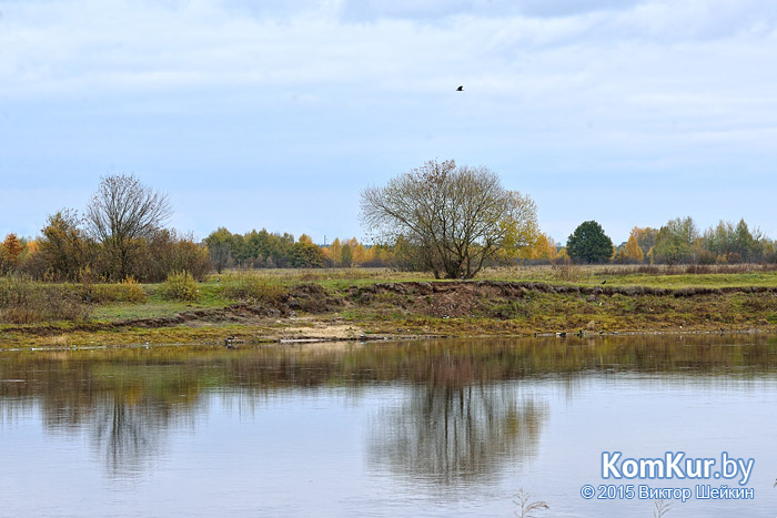 Бобруйск - «Осенние зарисовки»