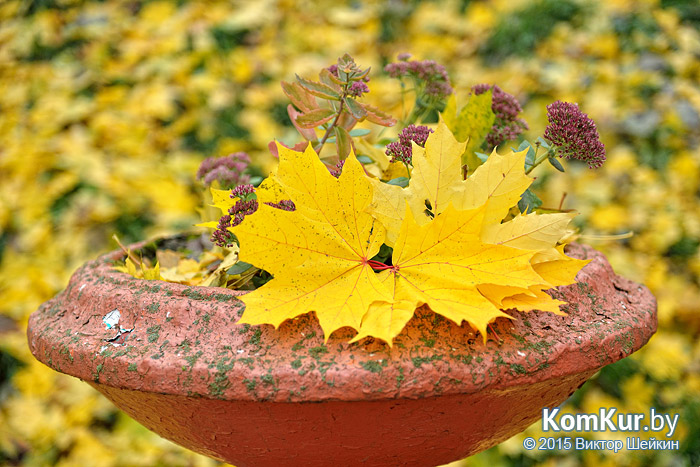 Бобруйск - «Осенние зарисовки»