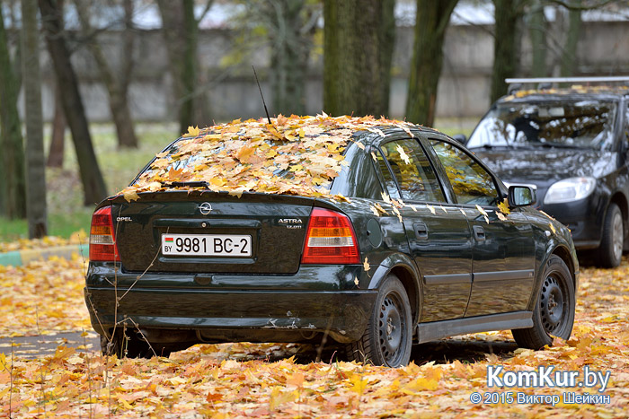 Бобруйск - «Осенние зарисовки»