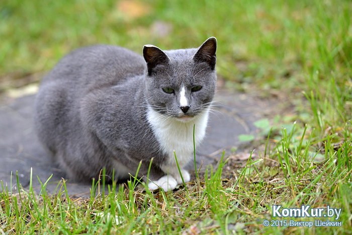 Бобруйск - «Осенние зарисовки»