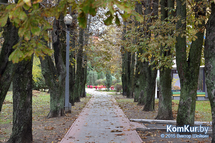 Бобруйск - «Осенние зарисовки»