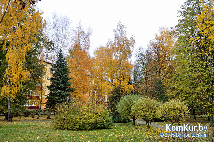 Бобруйск - «Осенние зарисовки»