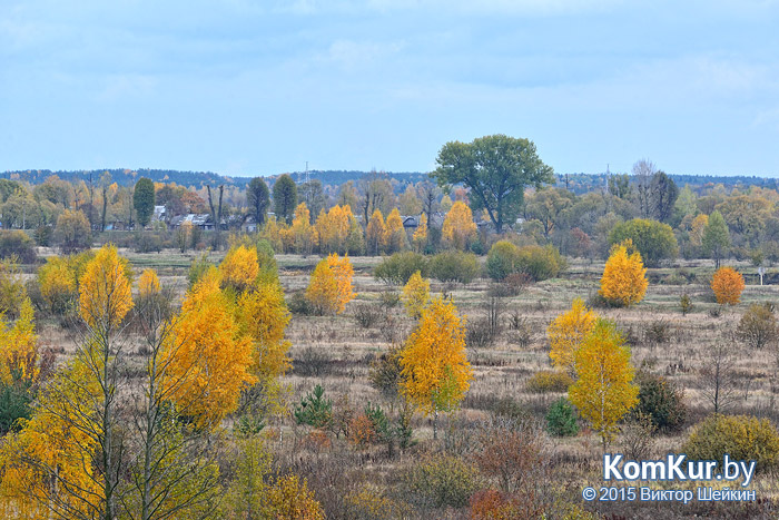 Бобруйск - «Осенние зарисовки»