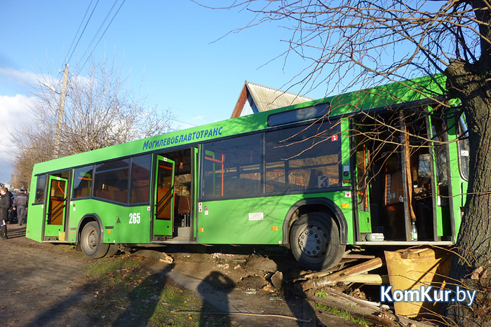 В Бобруйске автобус снес дерево и два гаража!