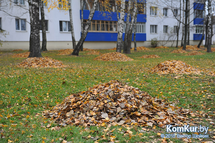 «Коммерческий» на связи: листва у дома