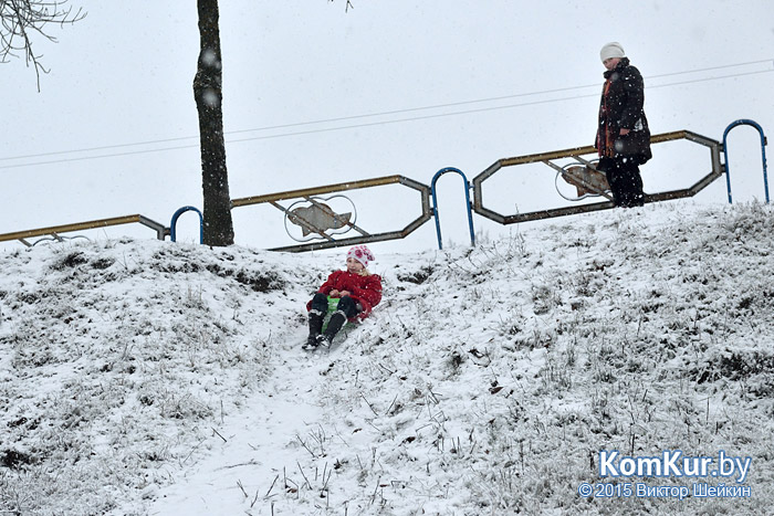 Первый снег выпал в Бобруйске