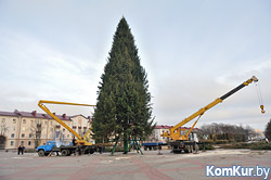 В Бобруйске завершается установка главной елки города