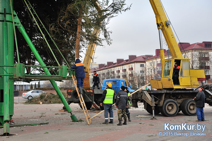 В Бобруйске завершается установка главной елки города (будет дополнено) 