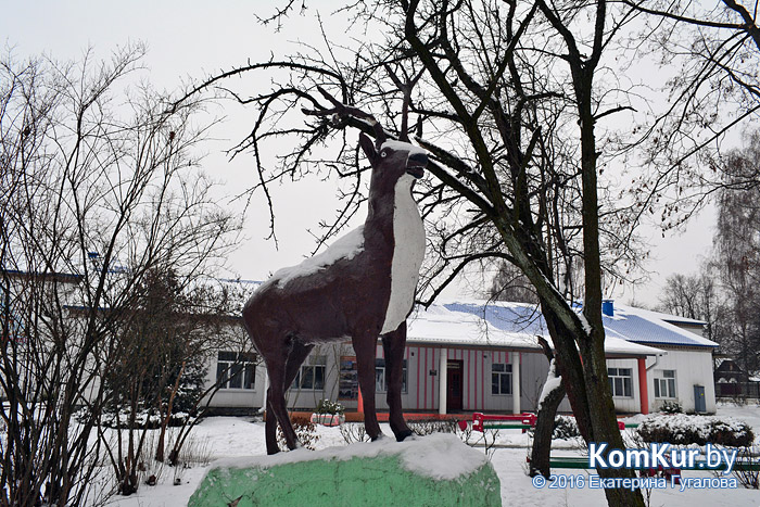 Зимние выходные бобруйчан 