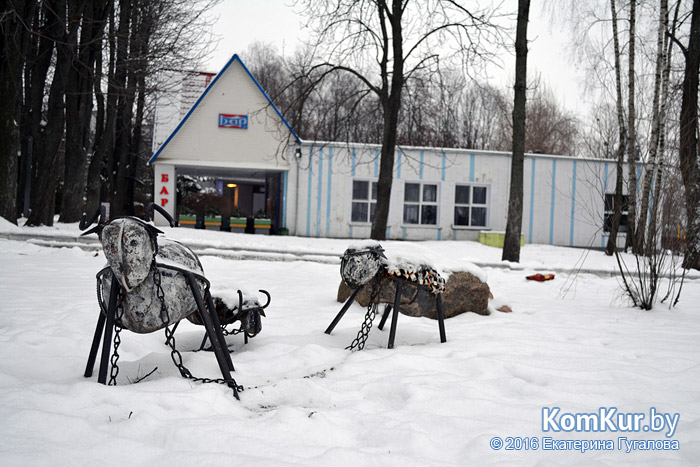 Зимние выходные бобруйчан 