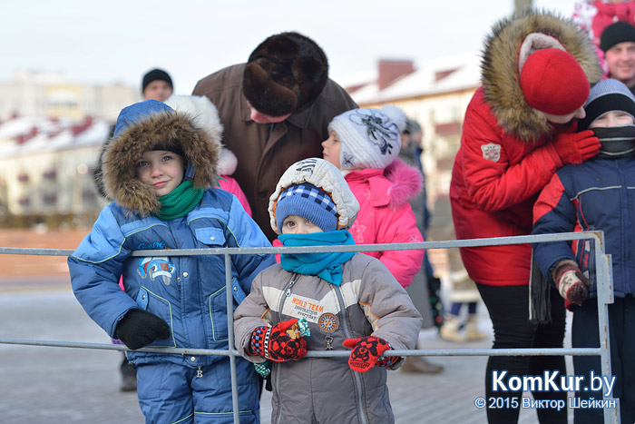 Новогодний Бобруйск