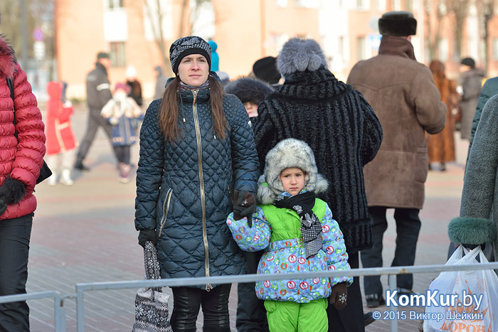 Новогодний Бобруйск