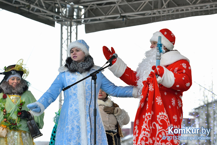 Новогодний Бобруйск