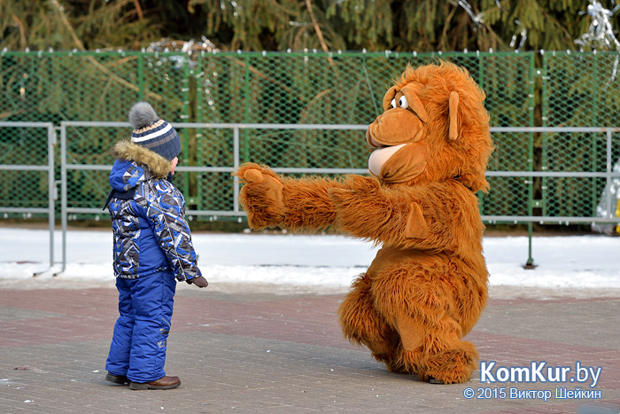 Новогодний Бобруйск