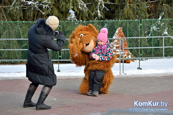 Новогодний Бобруйск