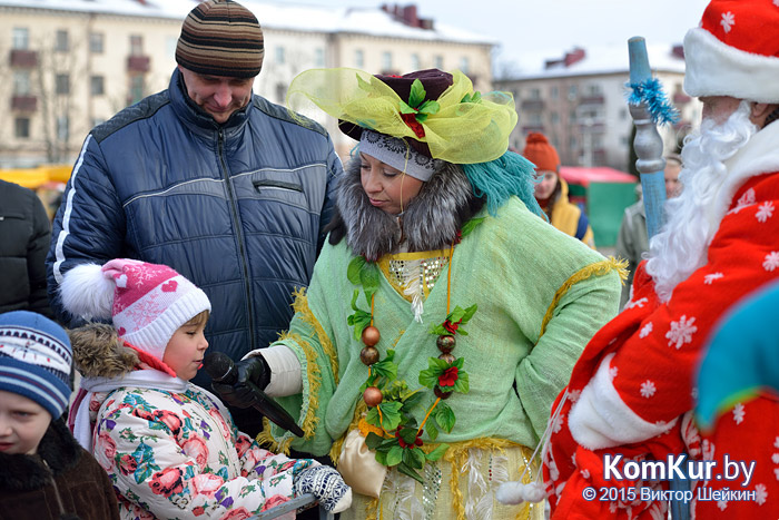 Новогодний Бобруйск