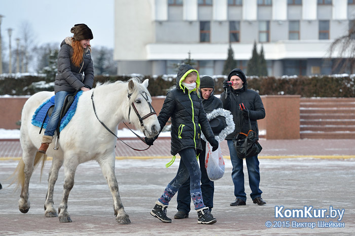 Новогодний Бобруйск