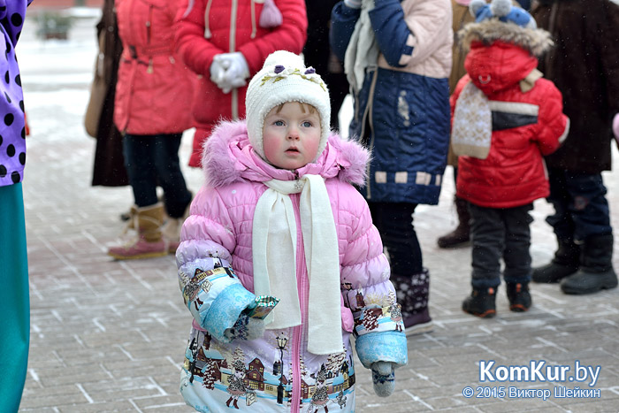 Новогодний Бобруйск