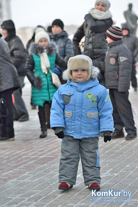 Новогодний Бобруйск