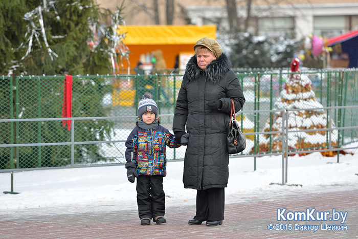 Новогодний Бобруйск