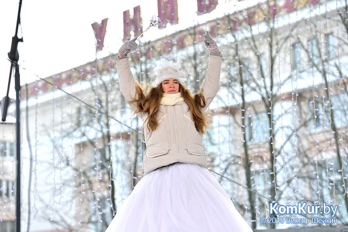 Новогодний Бобруйск