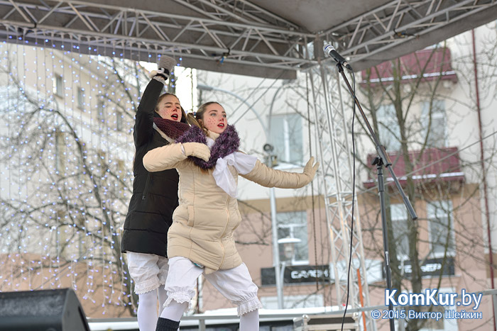 Новогодний Бобруйск